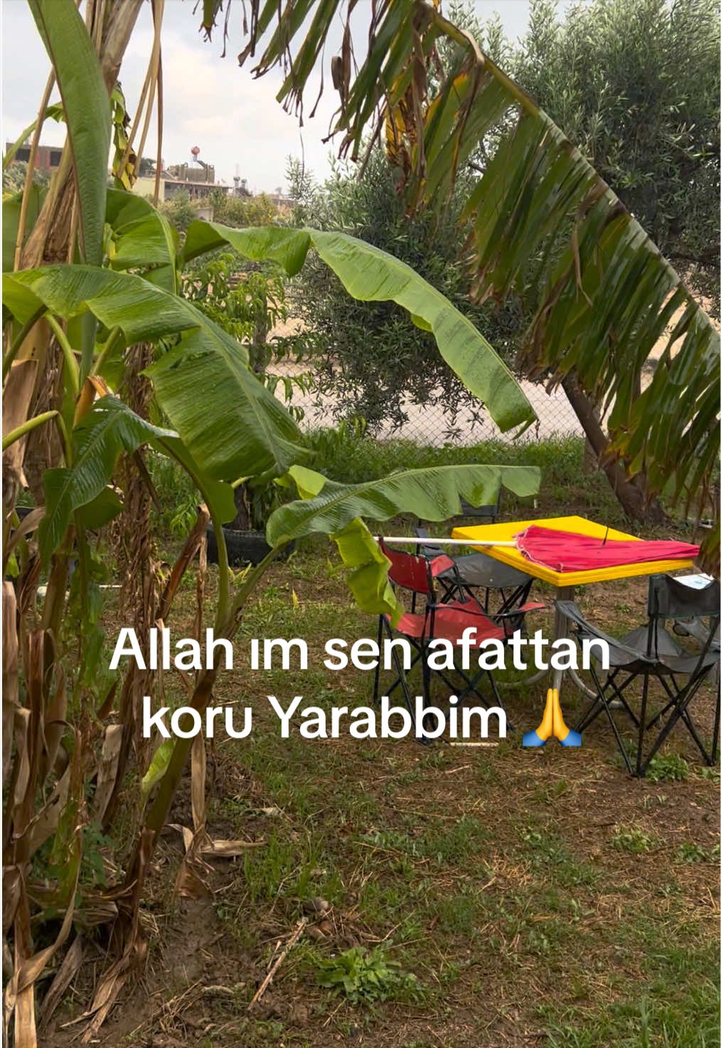 @Kılı&ccedil; Krali&ccedil;esi