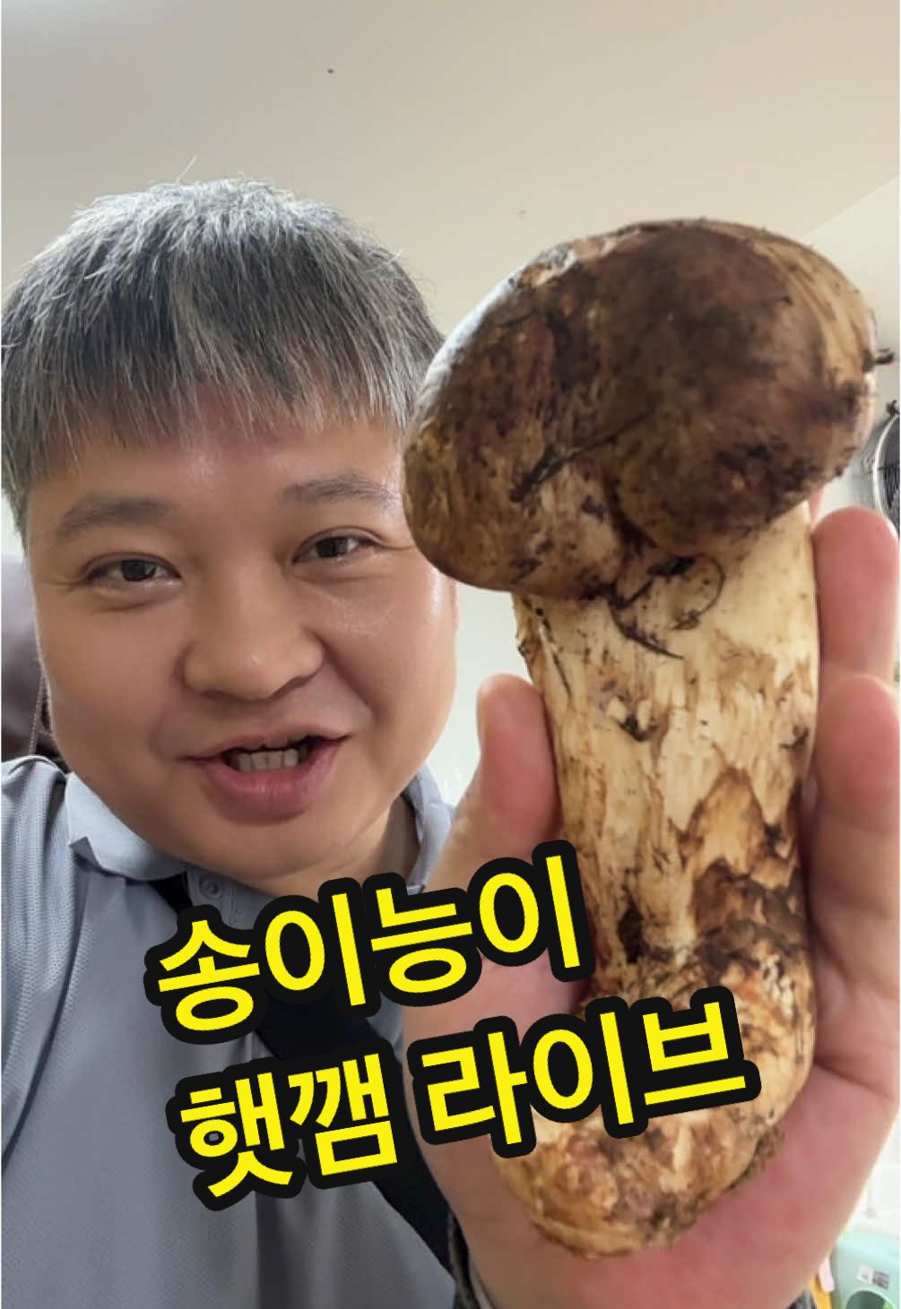 @원영-연변로찐