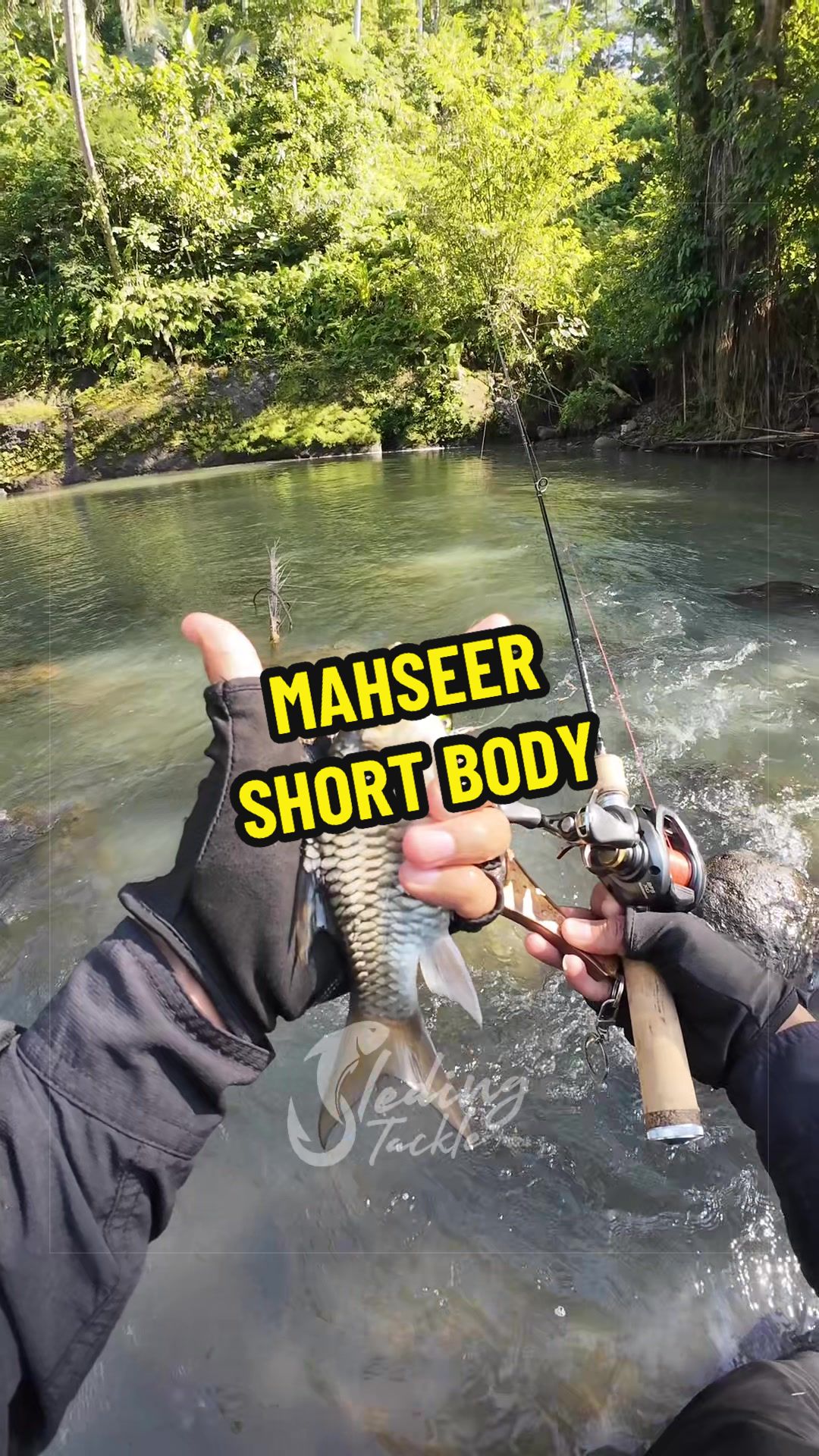 @Sleding Tackle