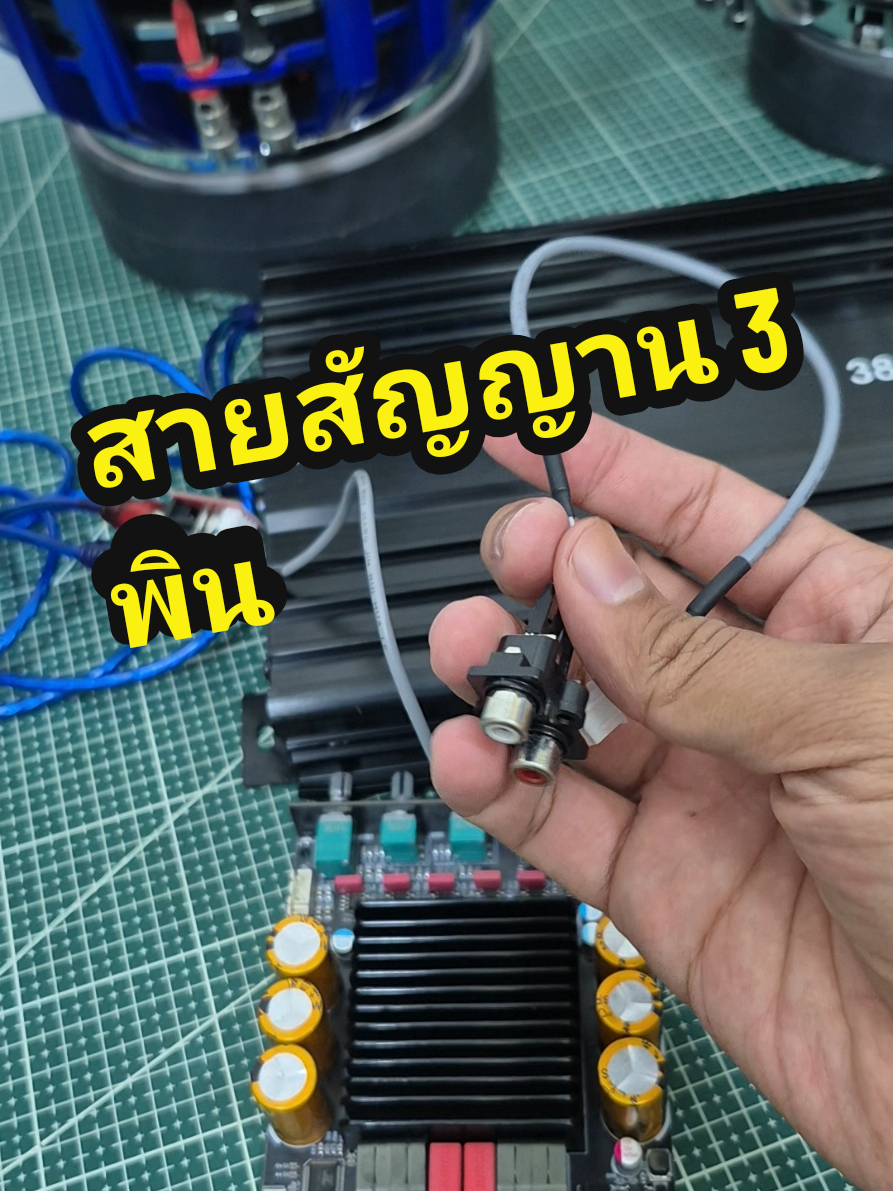 @รุตรีวิว