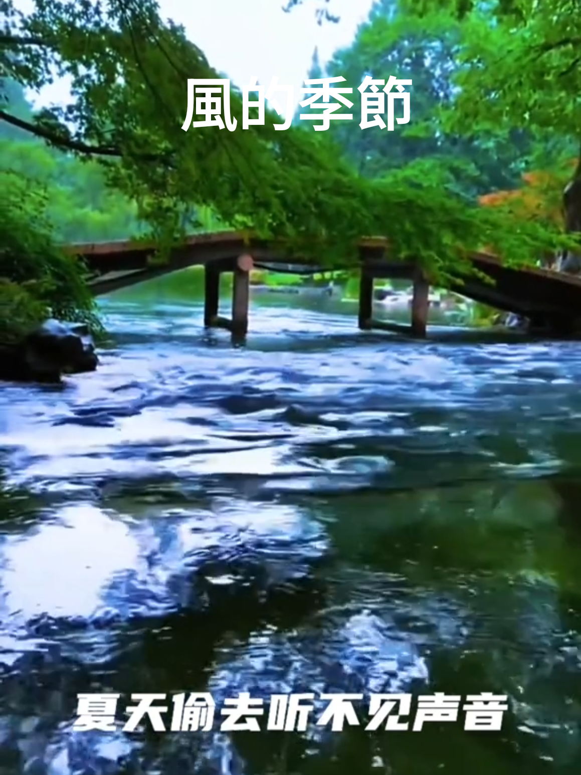@美丽的世界