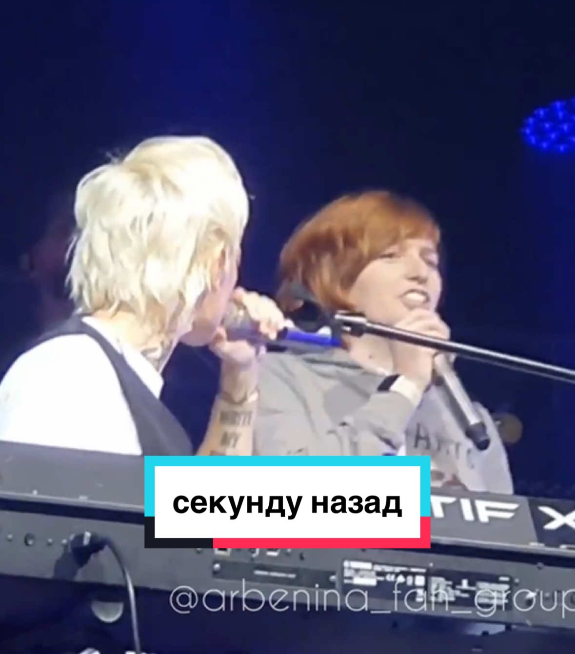 @Диана Арбенина (фан группа)