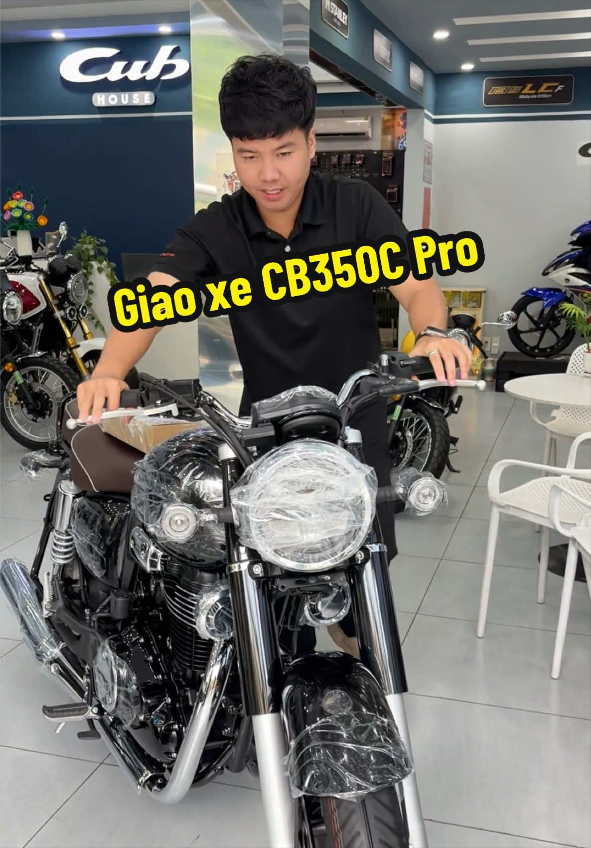 @Quốc Cường Cub House