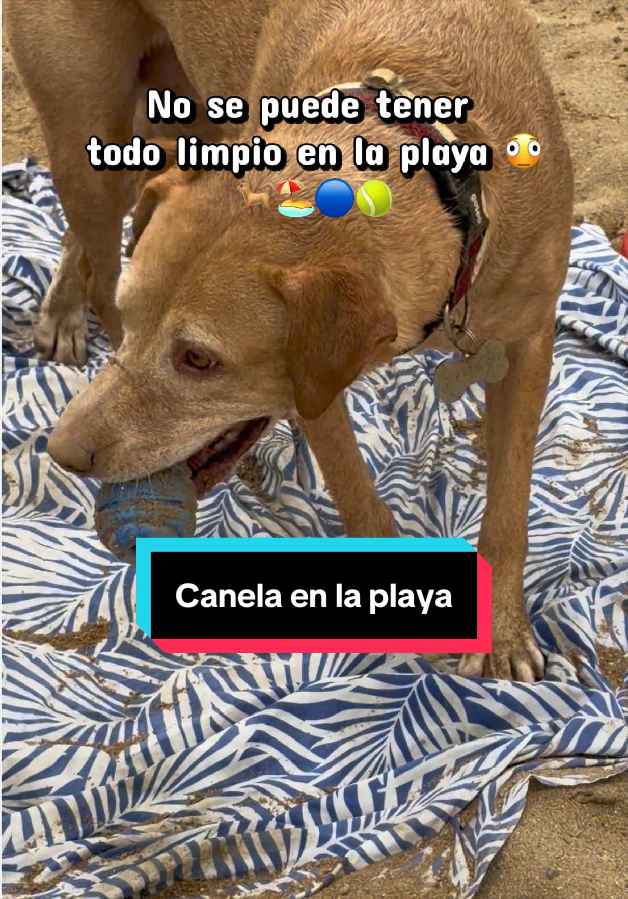 @Leo en BCN