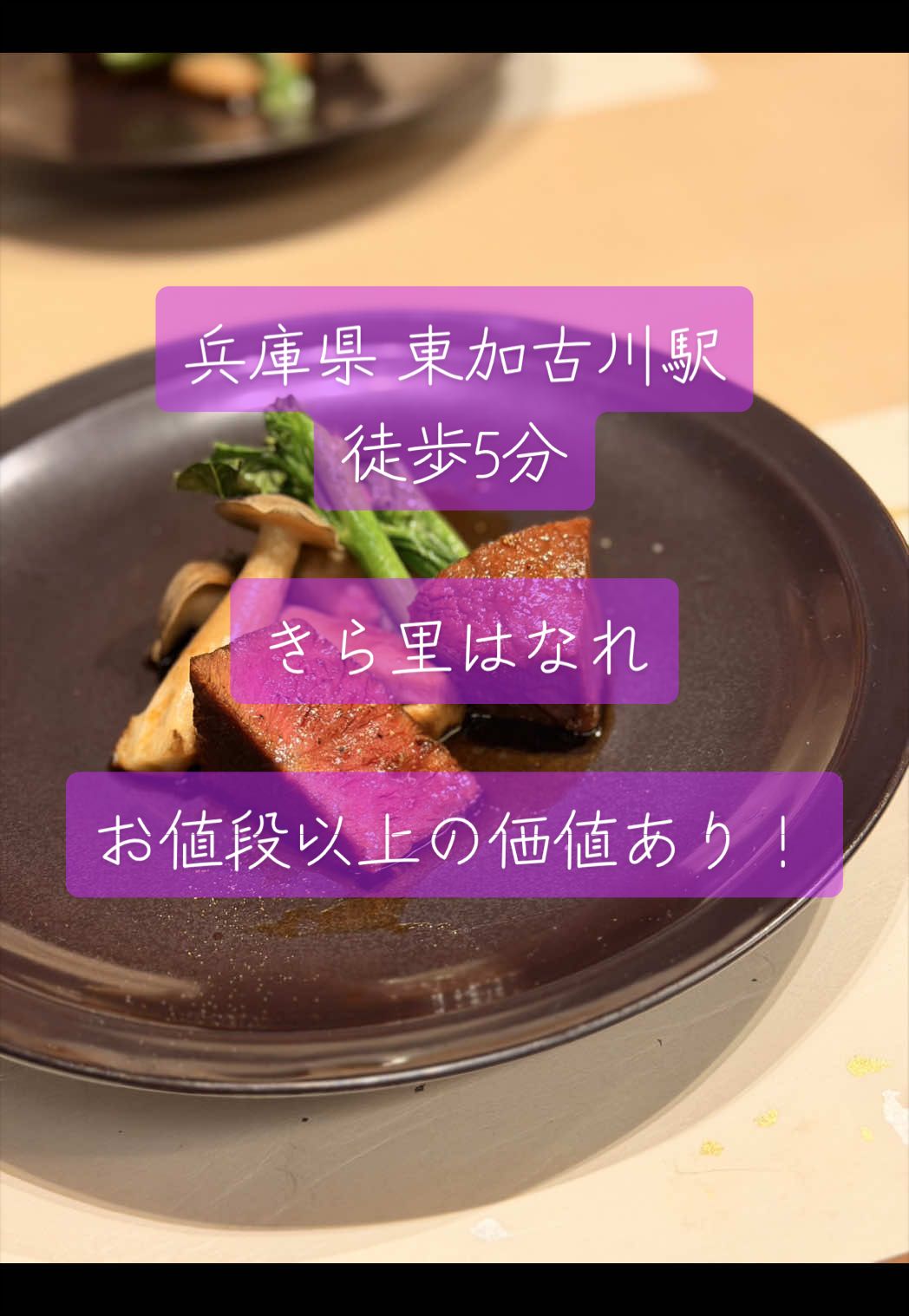 @善エイト(善トラベラー)