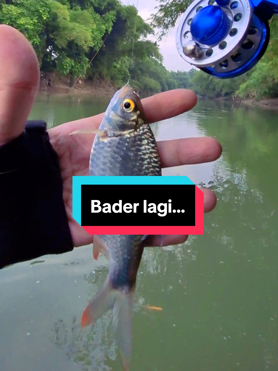 @Mr. Angler