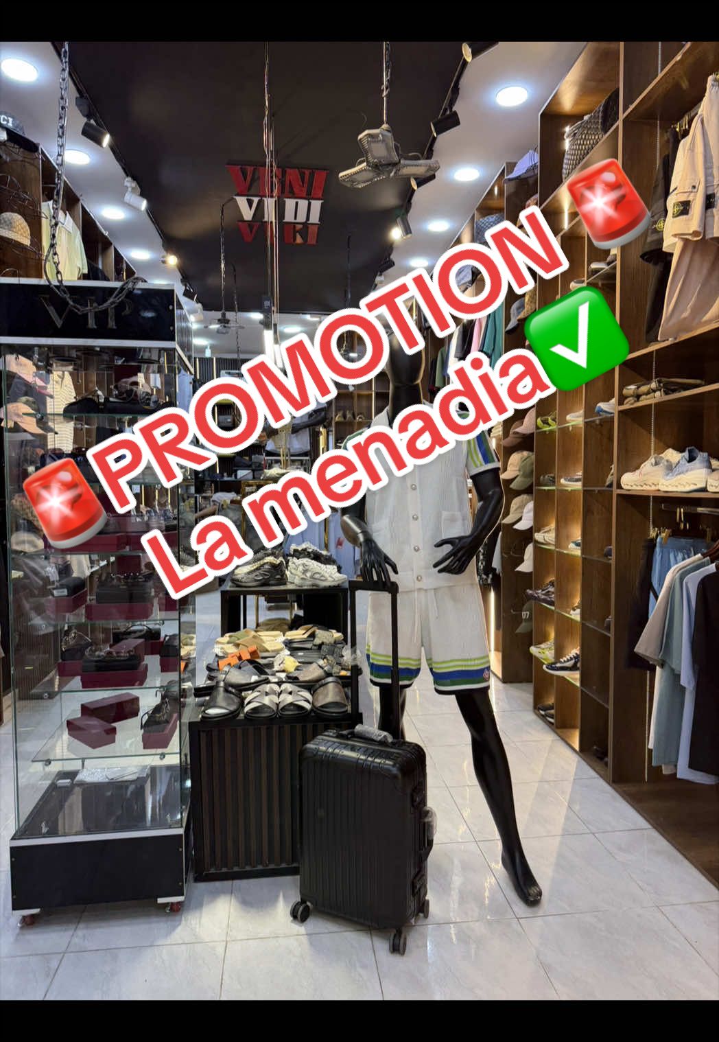 @venividivici2324