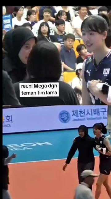 @damar