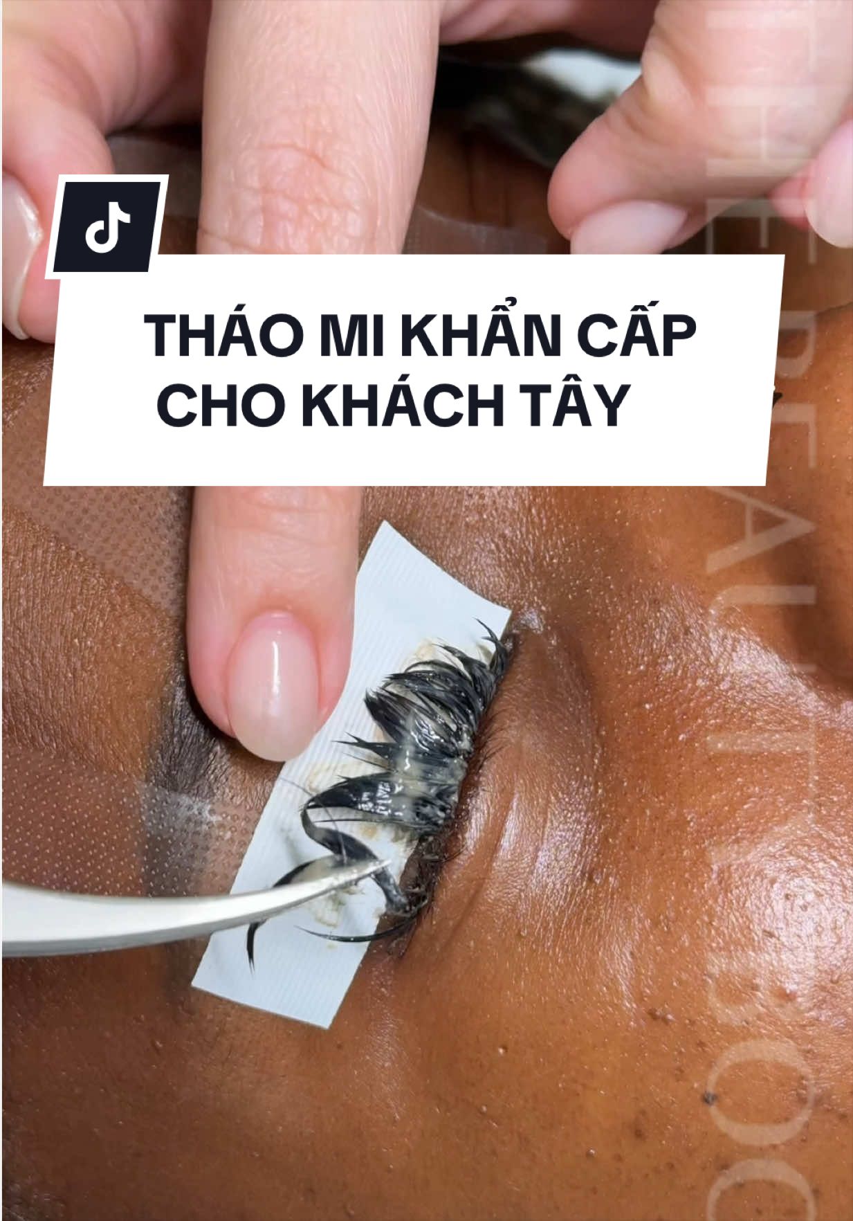 @The Beauty Book