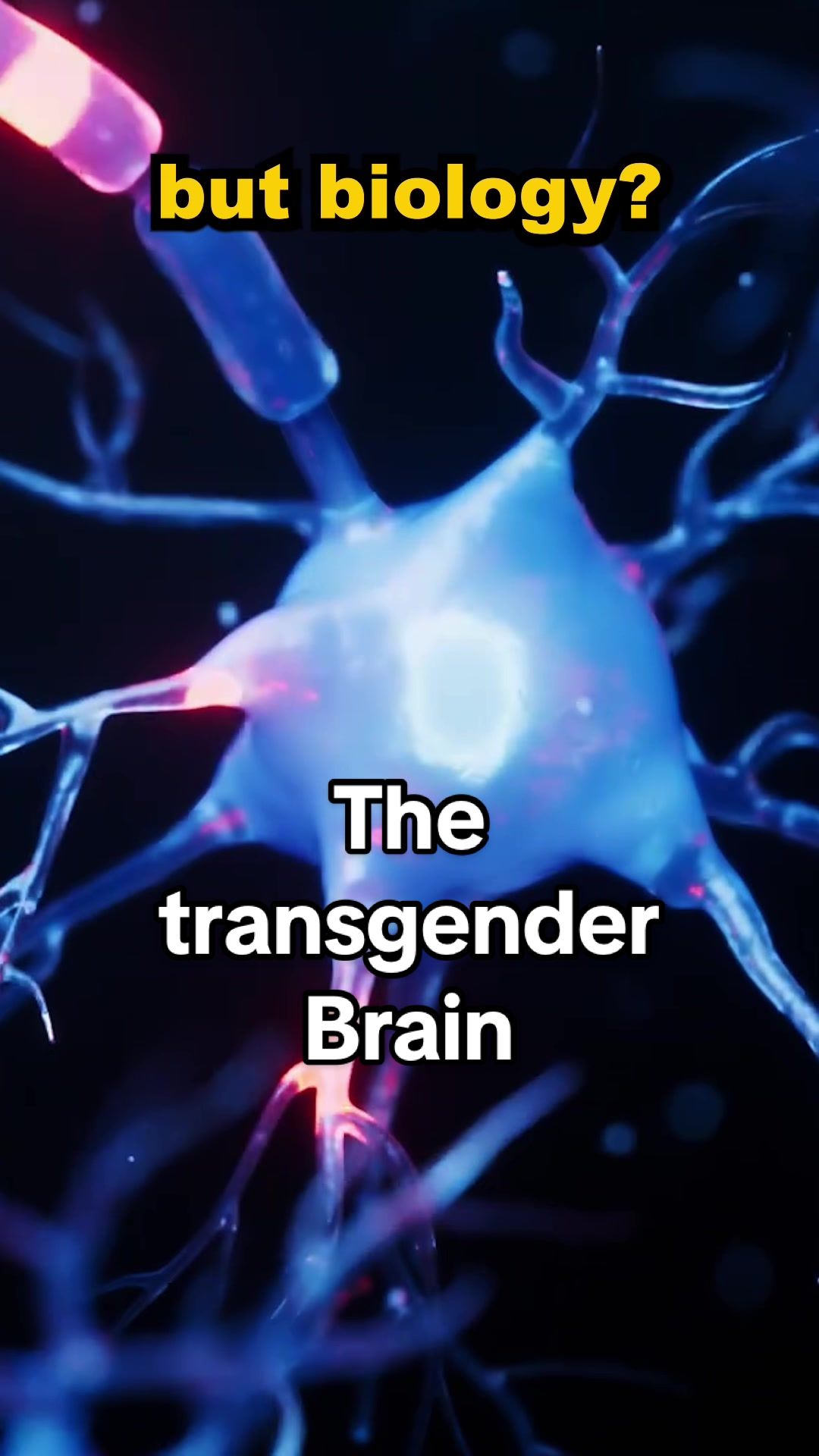 @Queer Collective Podcast
