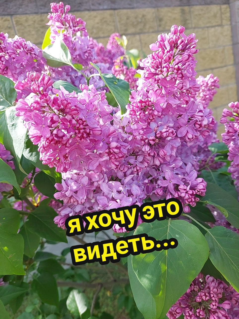 @Рыся✔️🇧🇾