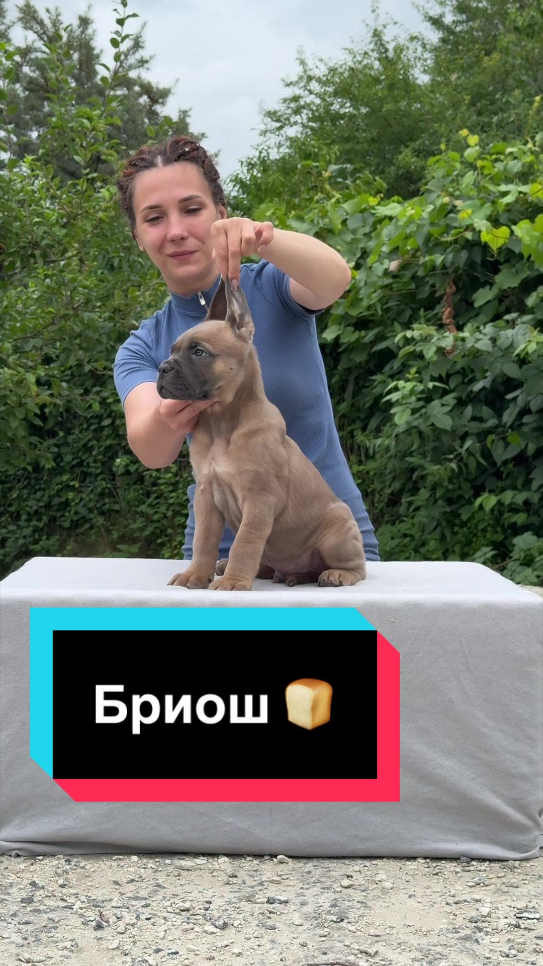 @Infinity Glory 🇺🇦