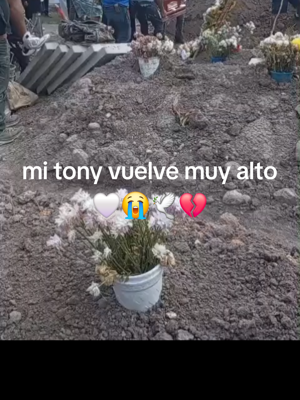 @Anita araujo 🥺🥰