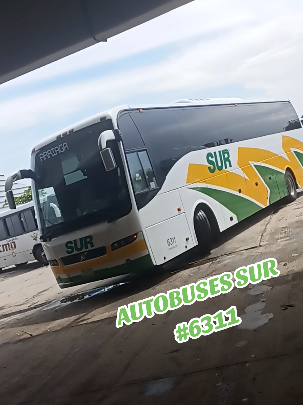 @Busologia Veracruzana 🍀🚍