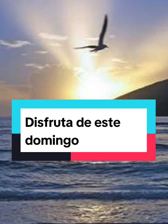 @Camino Hacia la Verdad