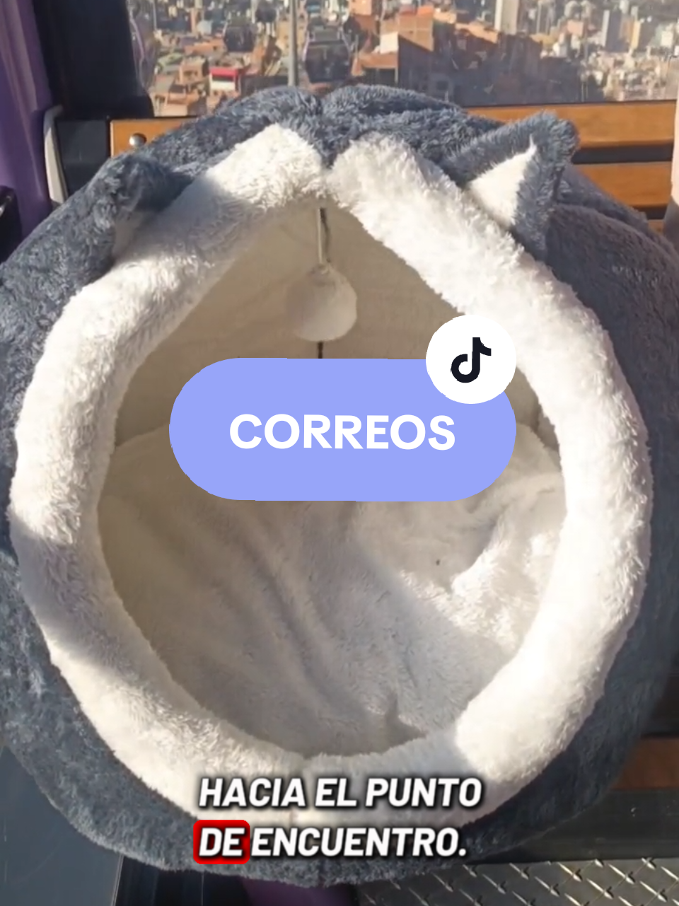 @Minxgia Pets