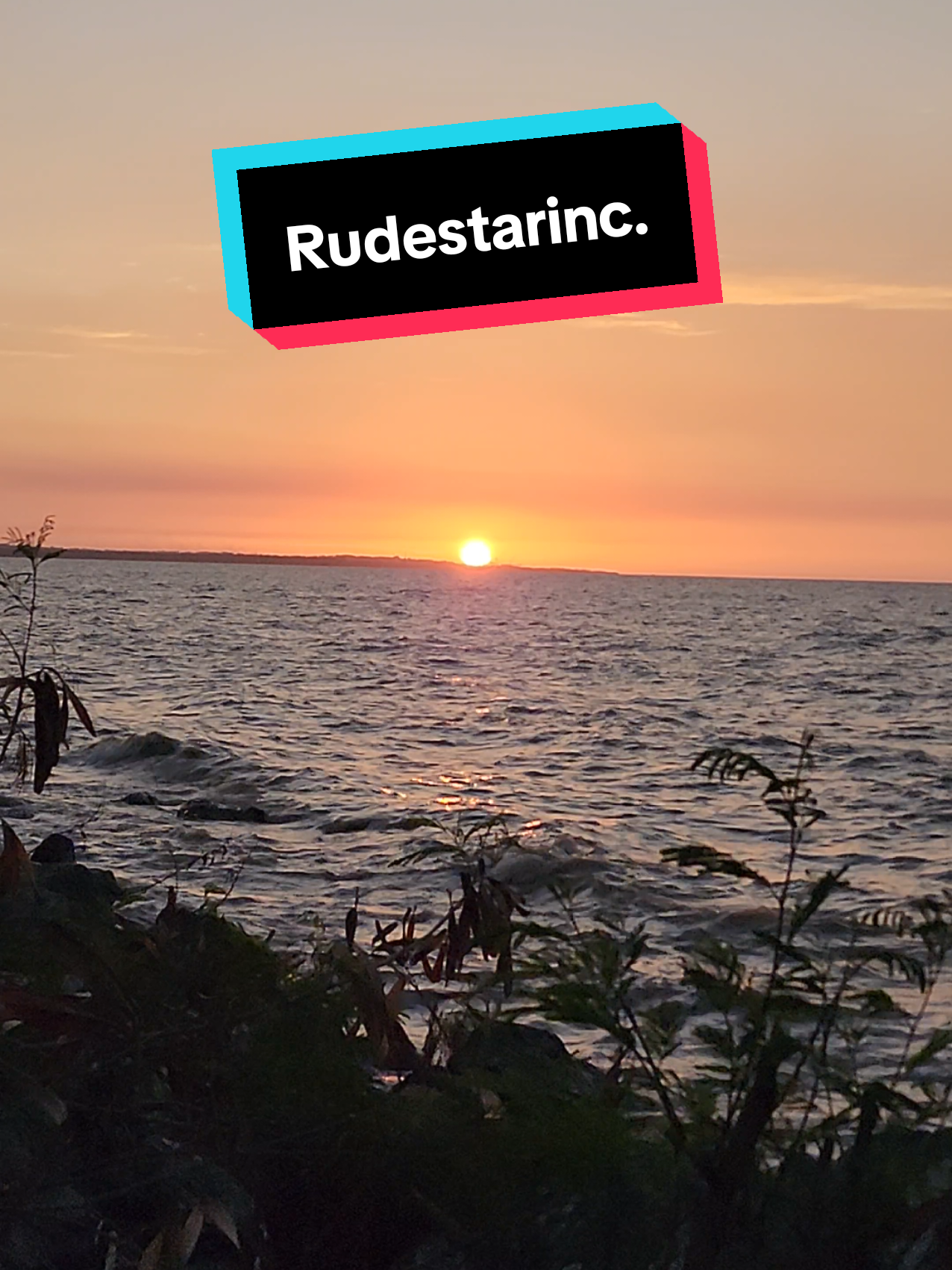@Rudestarinc.