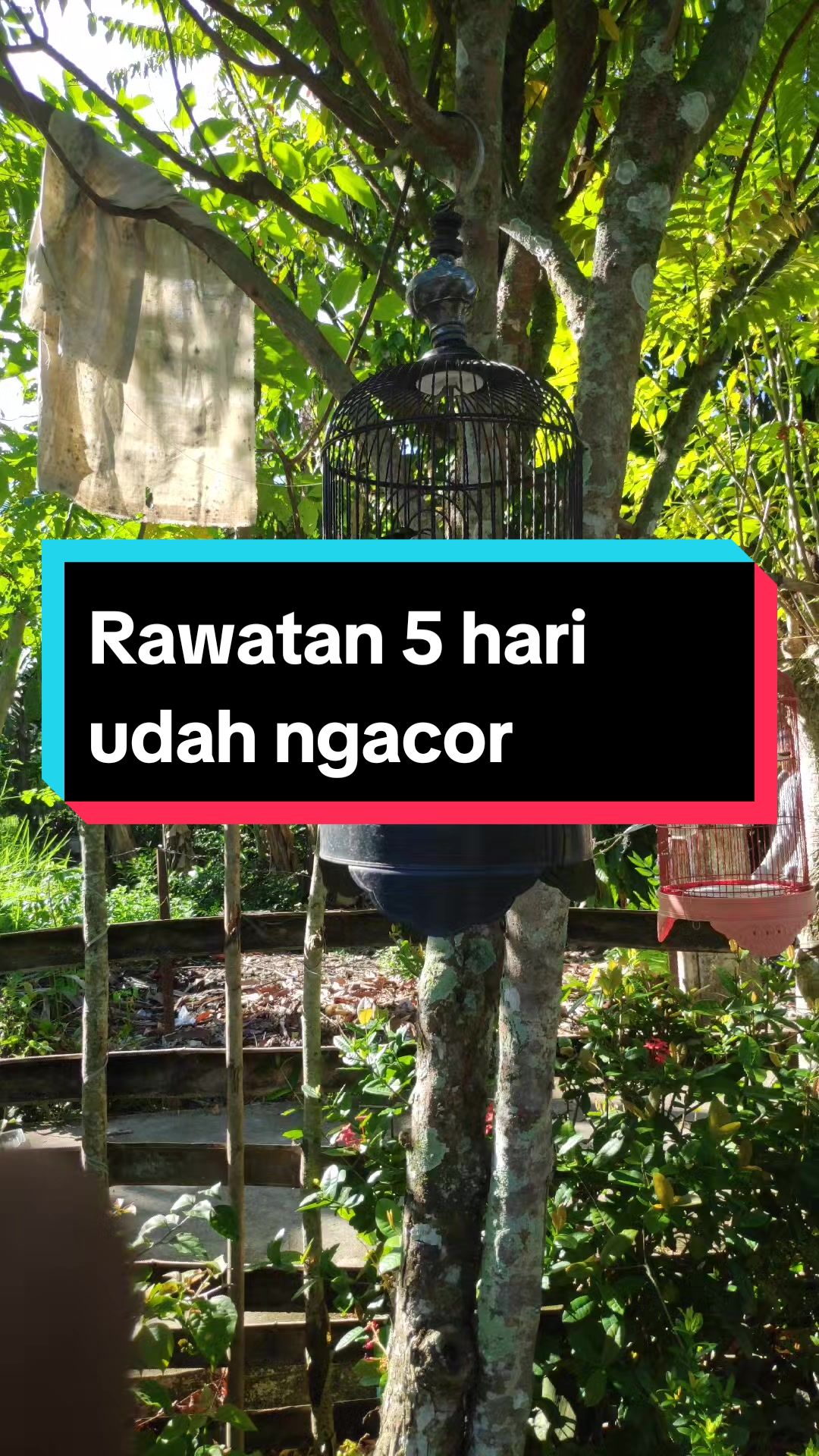 @bexjaya