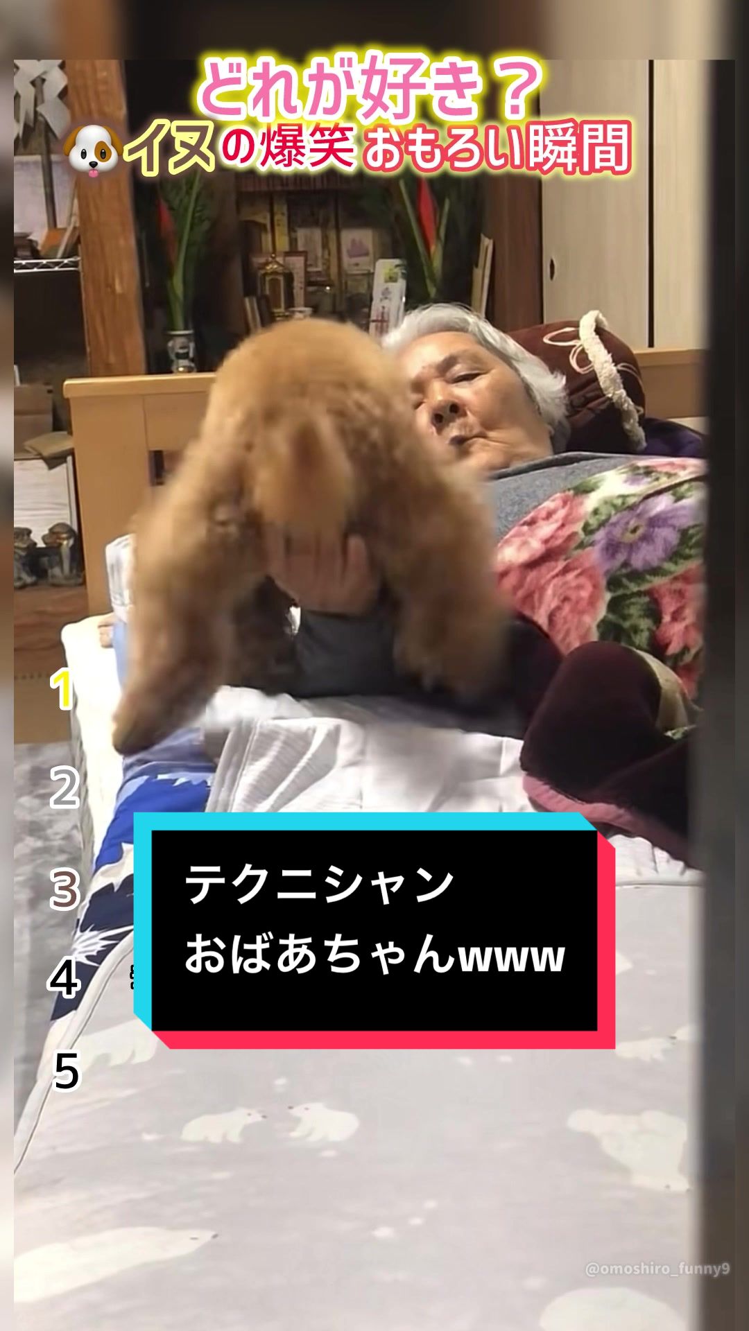 @おもしろ動画まとめ