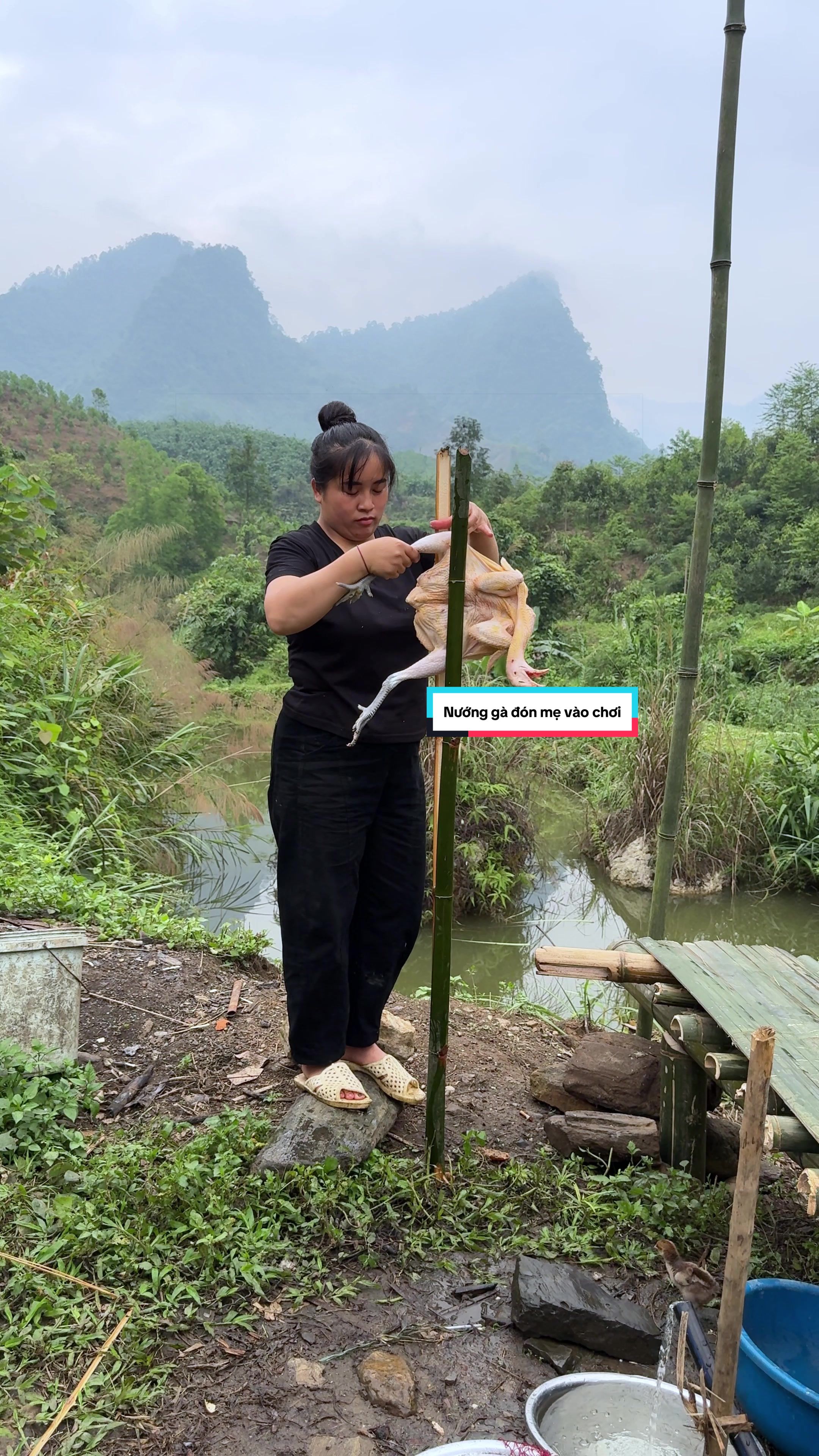 @Sức T&agrave;y
