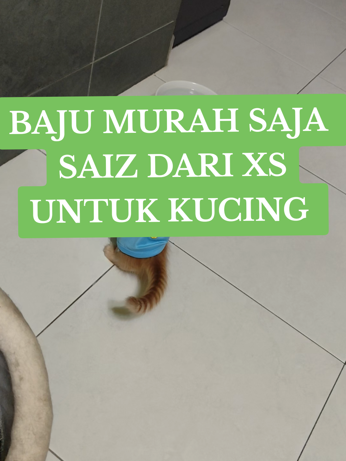 @Omma Kucing 🇲🇾🍉