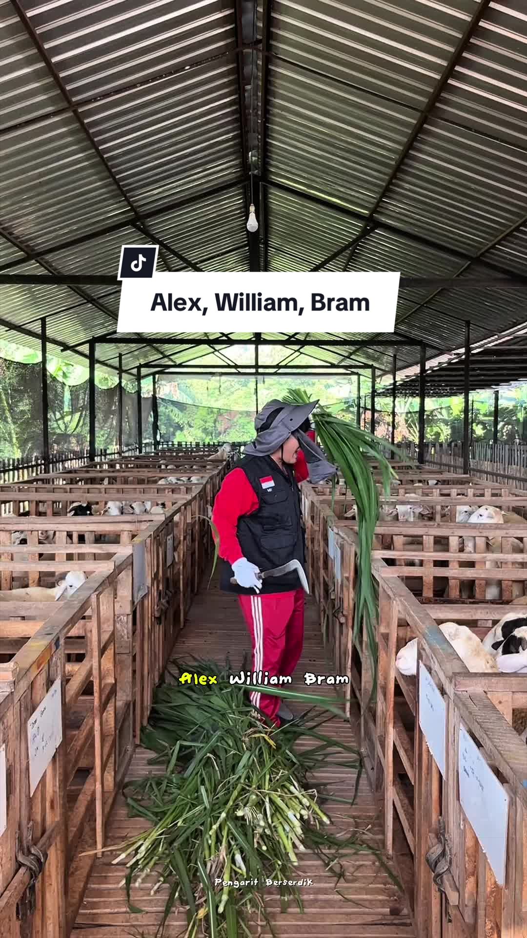 @Pengarit Berserdik