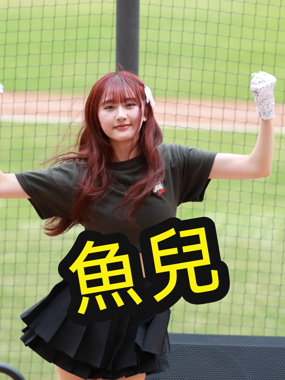 @海豚于翔