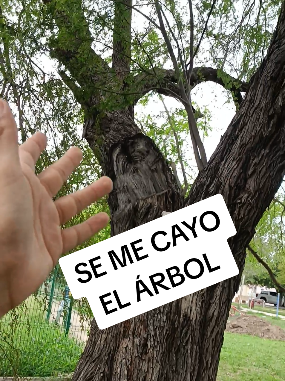 @Lucio Lucian