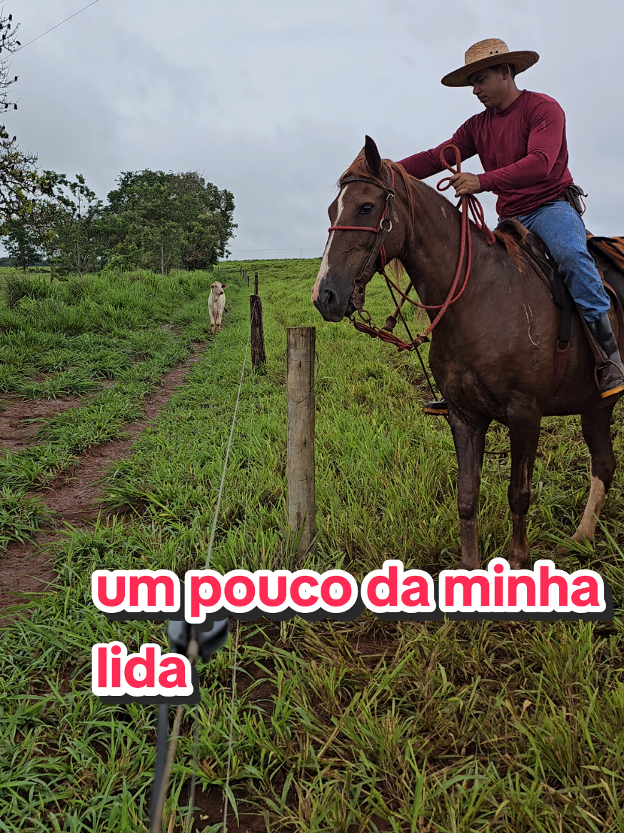 @Geovane neto
