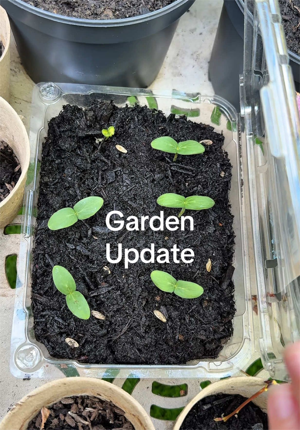@Hotgirlgarden