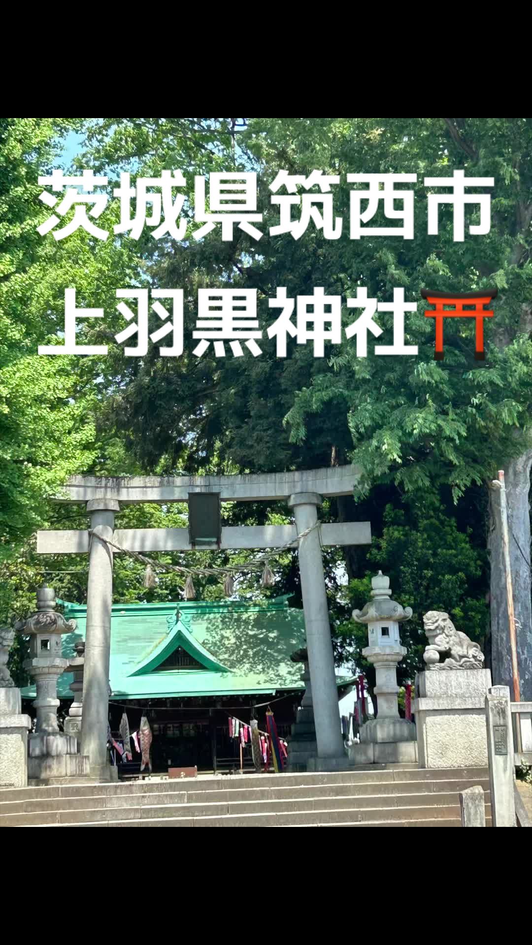 @♡さくらの♡