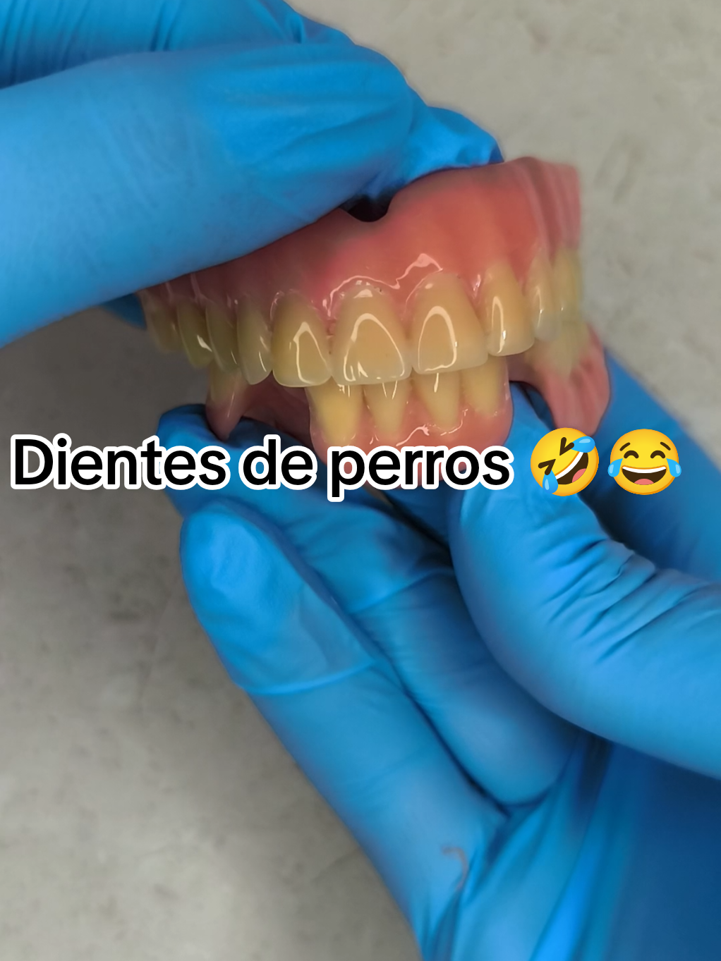 @𝐃𝐄𝐈𝐕𝐘𝐒 𝐑🦷🐜