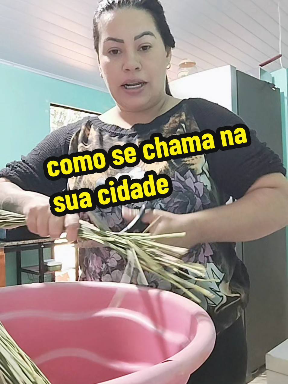 @Daya oficial