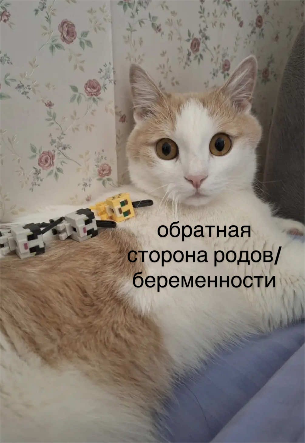 @мамин хep