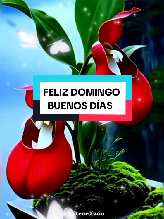 @chin@❤
