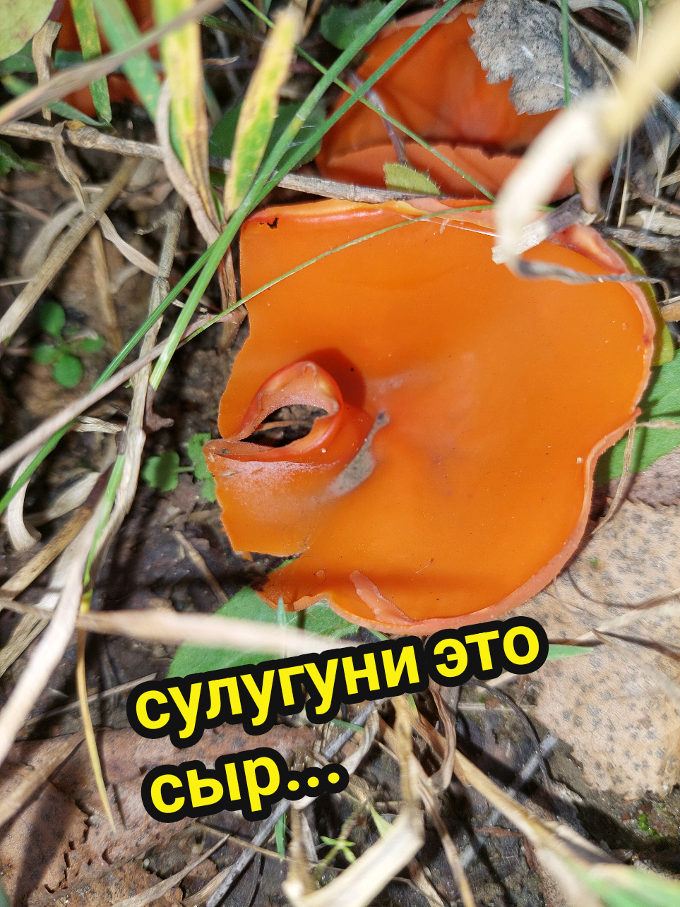 @Рыся✔️🇧🇾