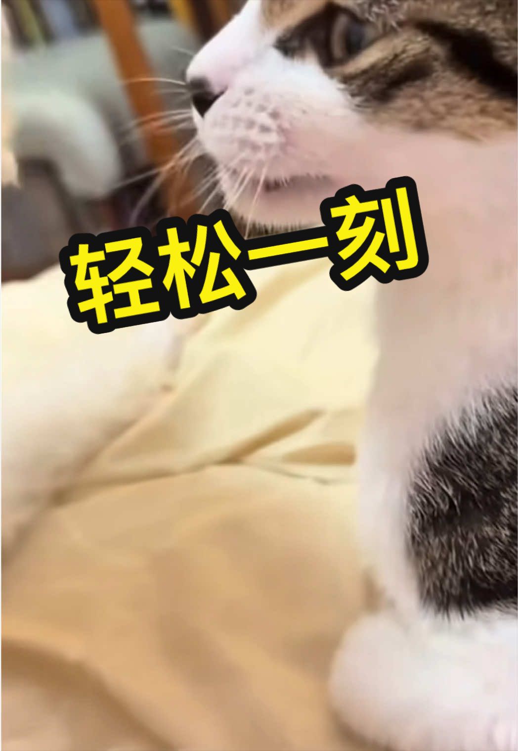 @casual_shuo
