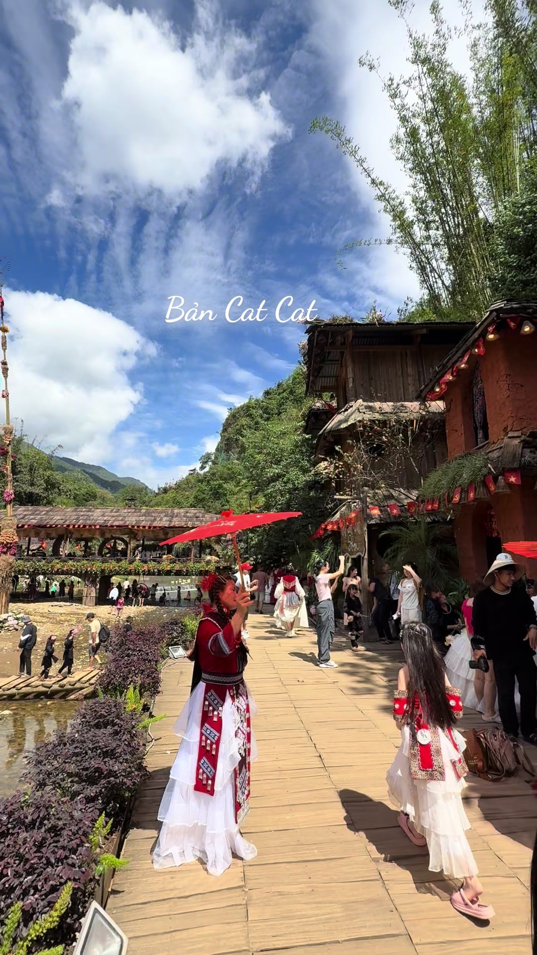 @Cúc hoạ mi🍀