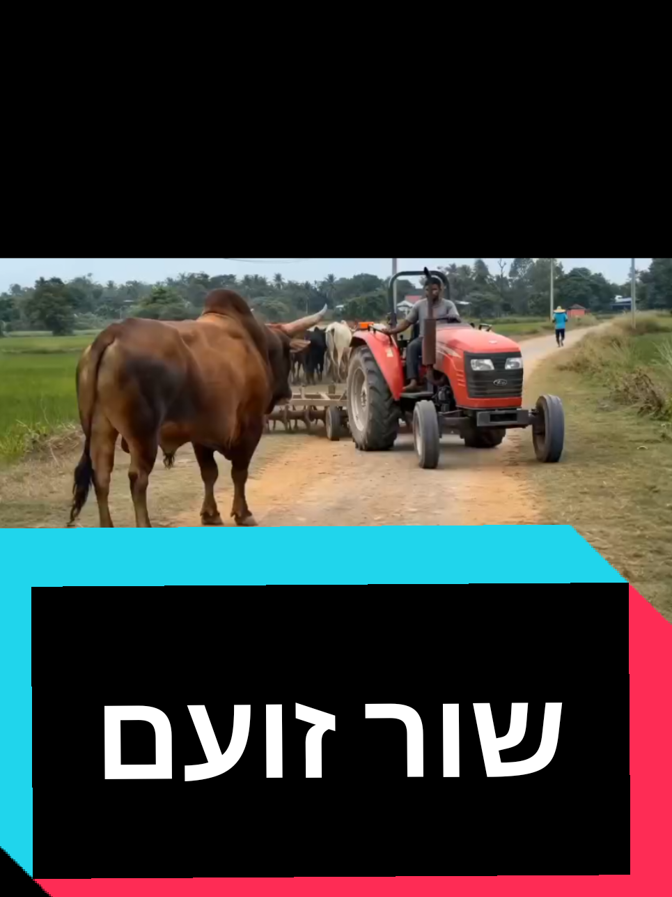 @חשיפות והדלפות ללא צנזורה