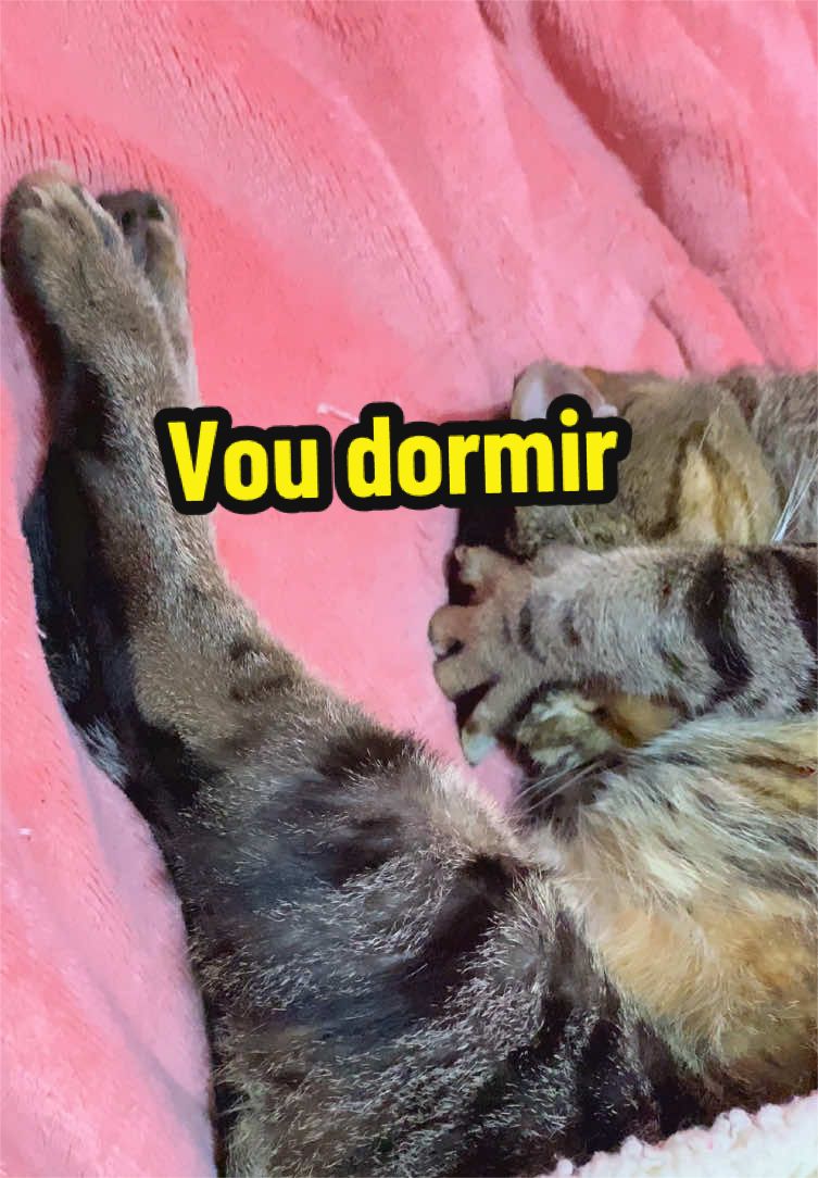 @𝒫𝑒𝓉𝓉𝑒𝓇 ♡