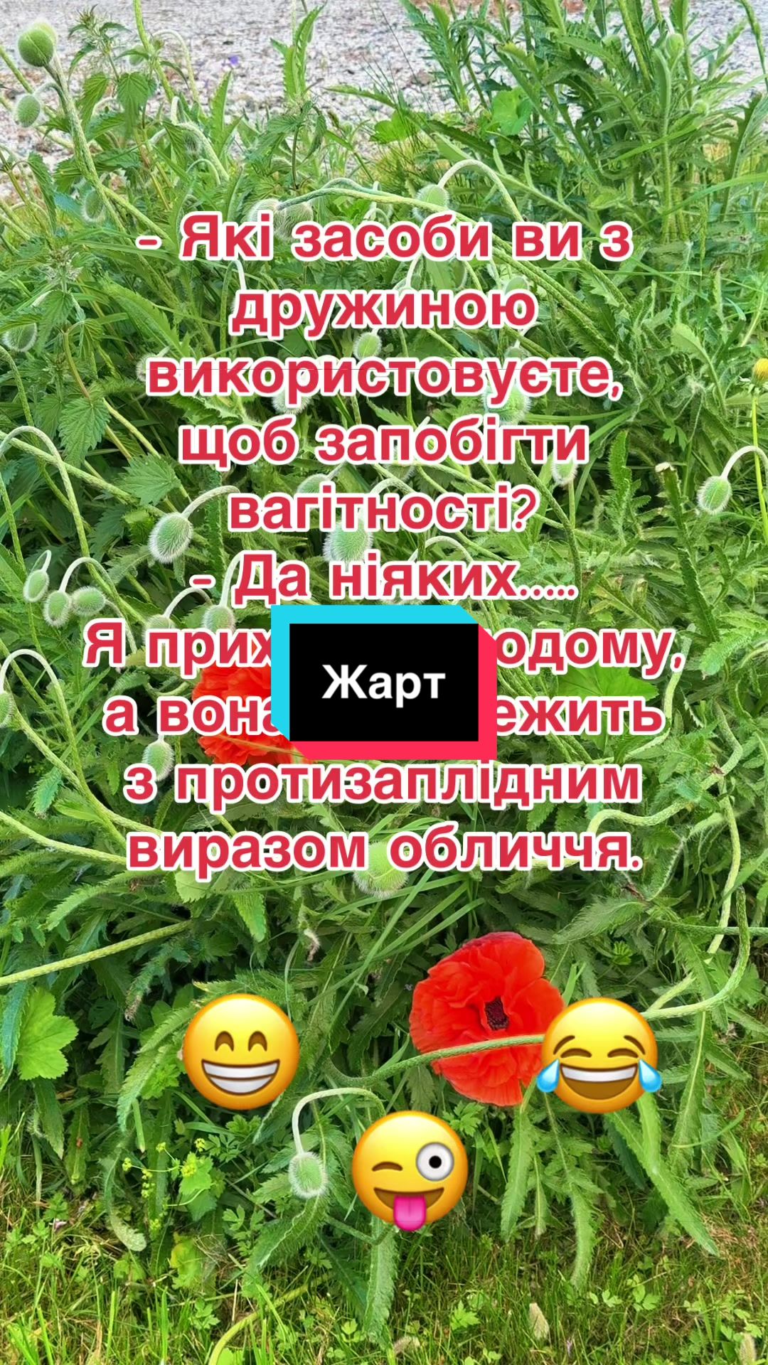 @humortiktokua