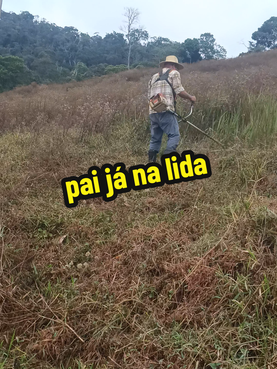 @Elaine Fernandes