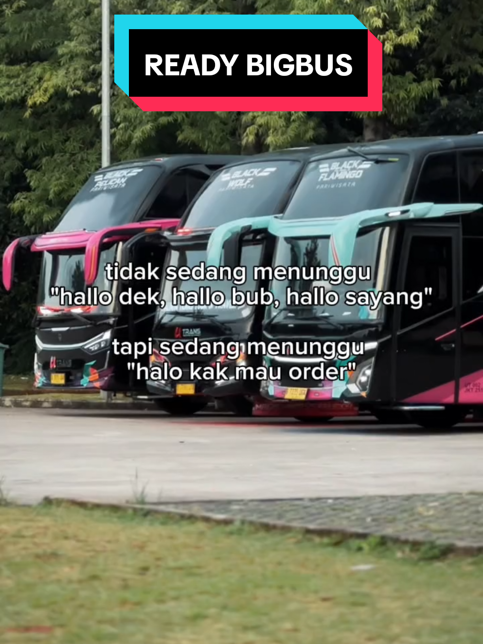 @cahaya99trans