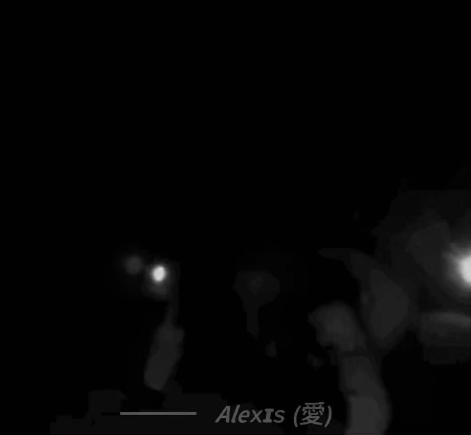 @━━━ Ά֗ؐ𝗟Ξ̸̸ؓϪؗؗ (سقط)