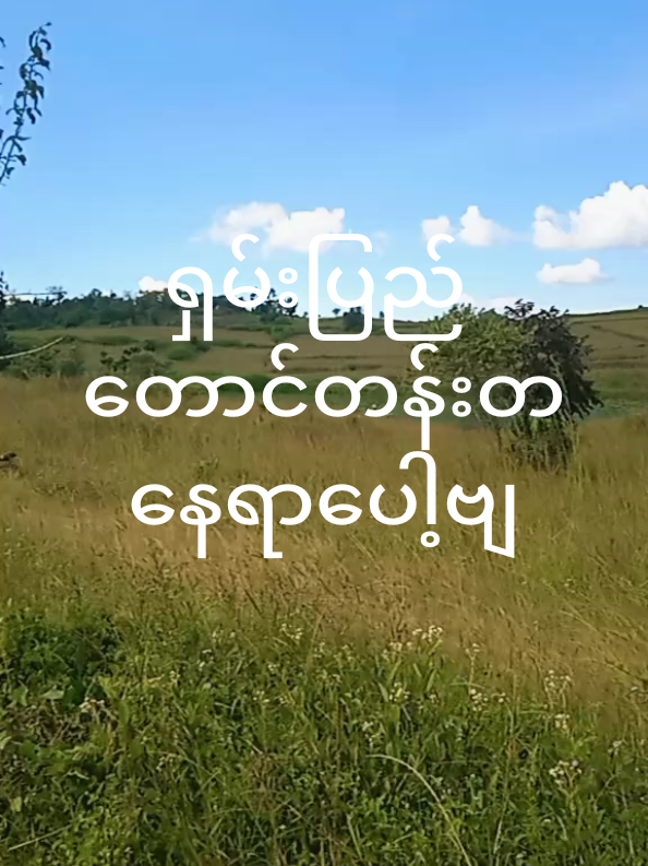 @Win Thura