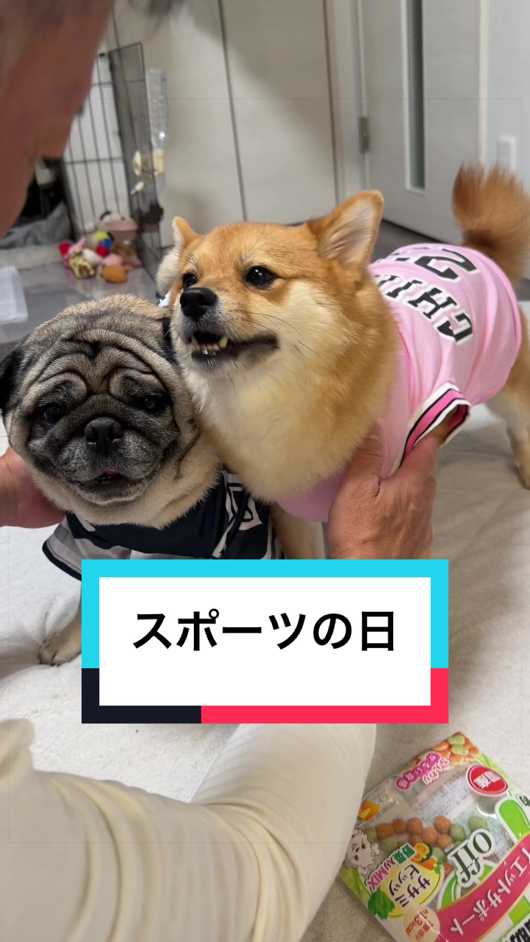 @🐶とん&ぺっぺこぺー🦊