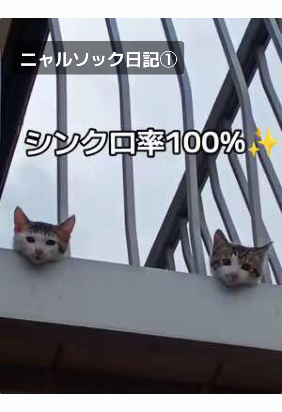 @ちょびみぃ兄弟❤︎🫧