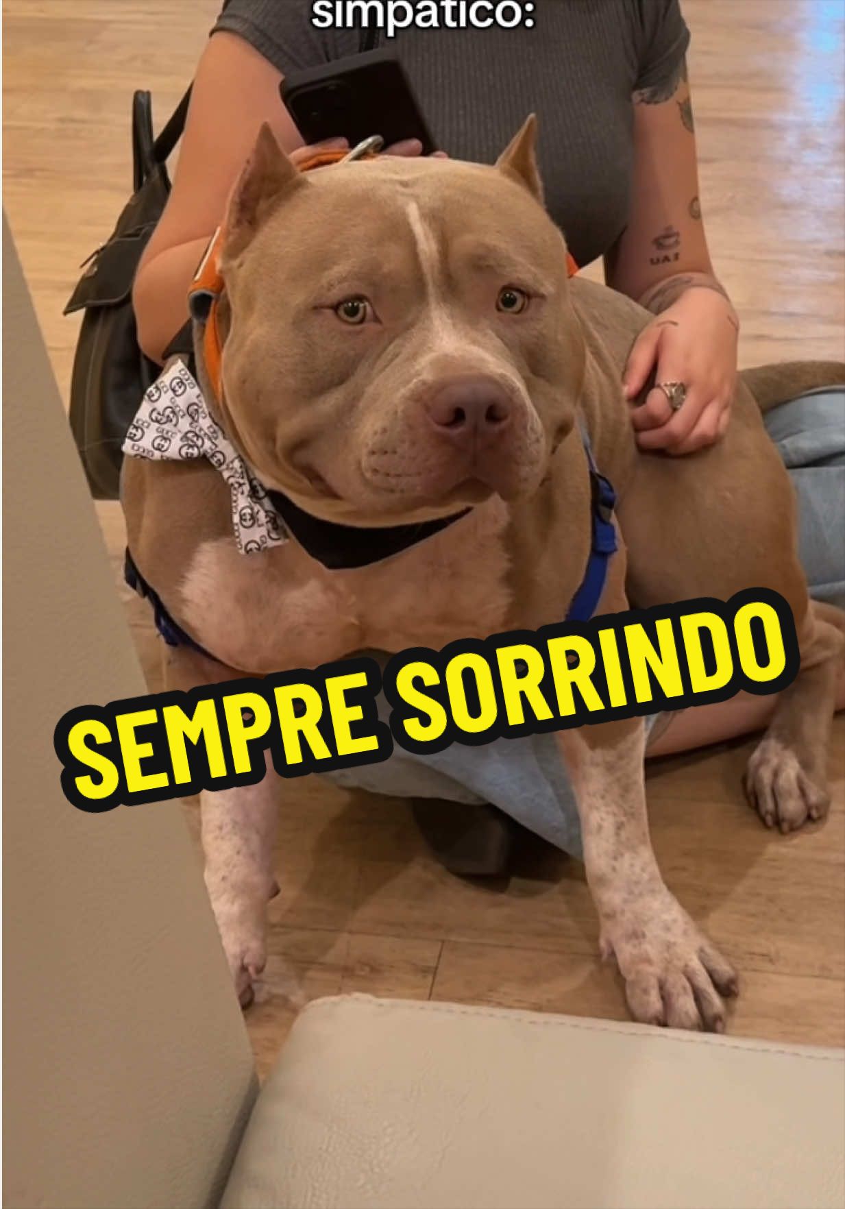 @Família Ragnar 🐶