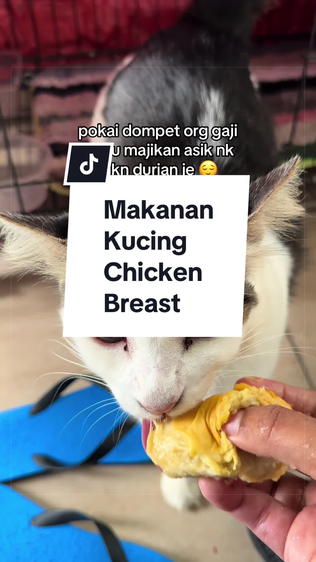 @Nadhirah Razani