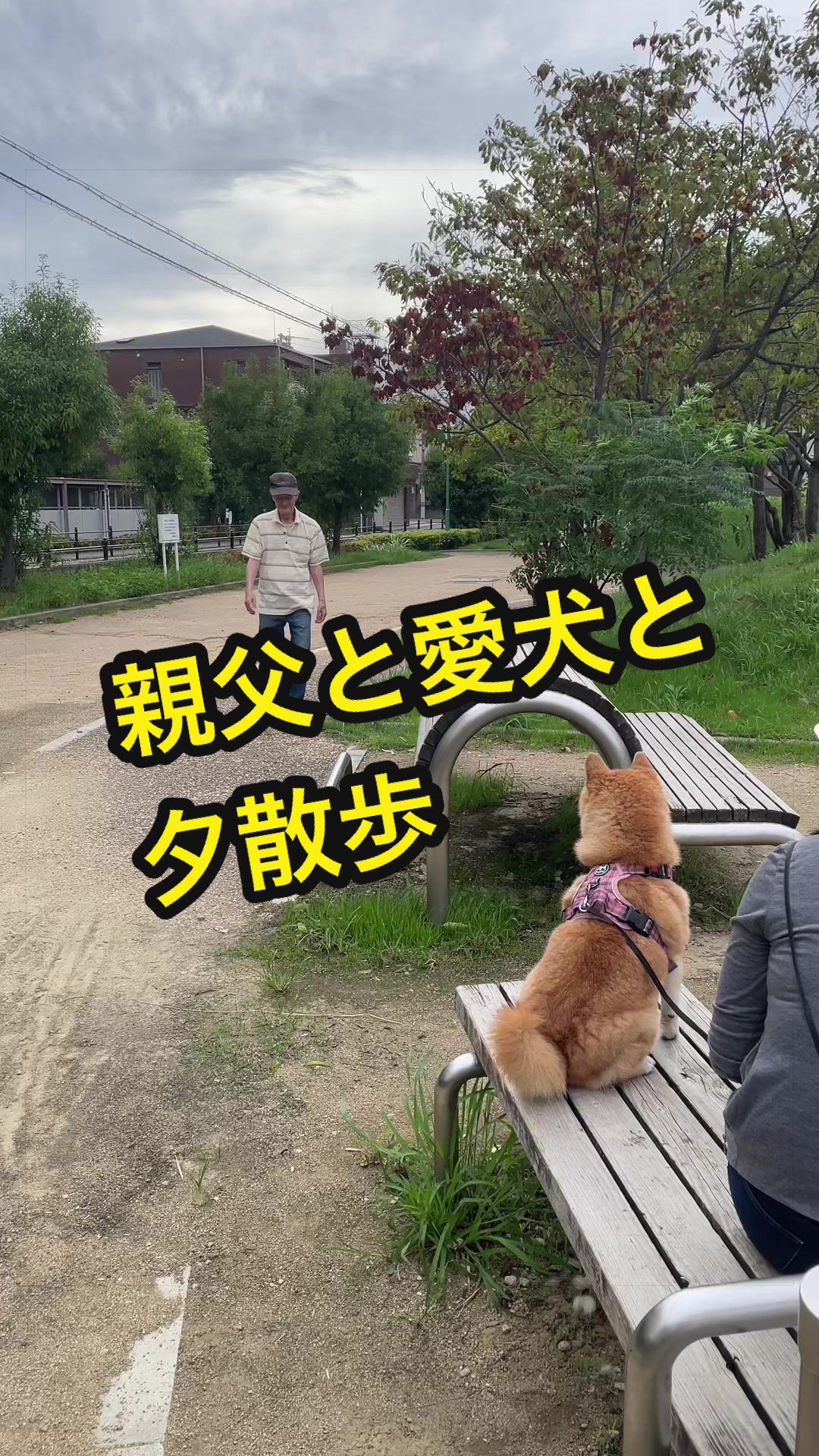 @特に柴犬が好きな人